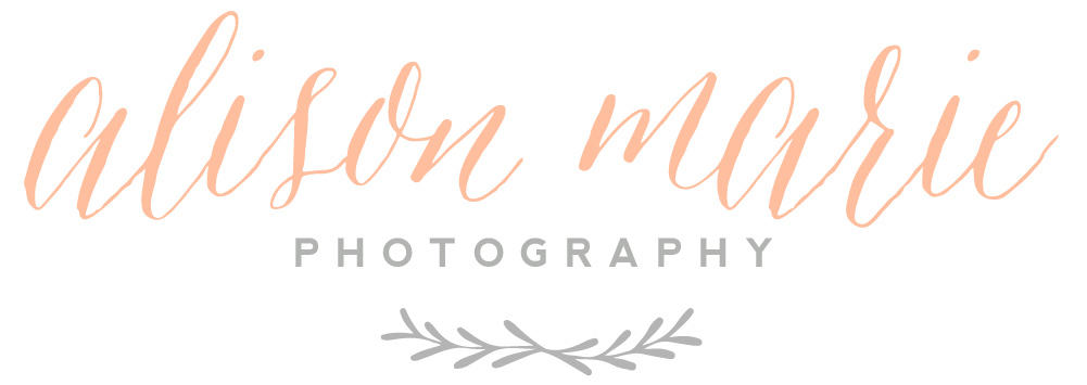alison marie photography
